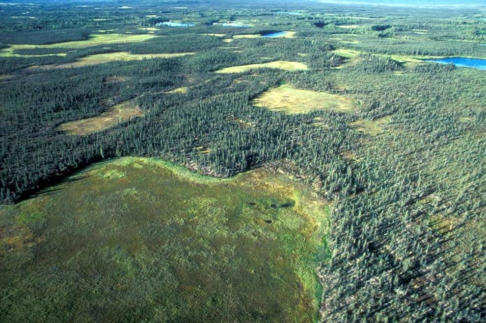 Aerial view of a national park. (U.S. Fish & Wildlife Service/Public domain)