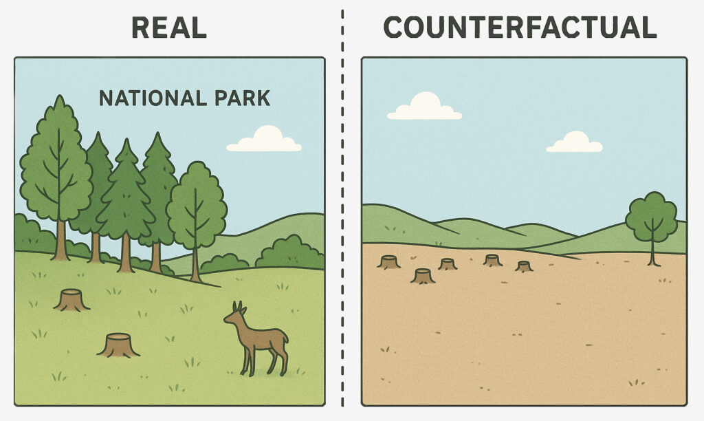 Counterfactual National Park Illustration - Alex Caruana
